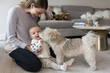 © Jamie Grill Photography/Tetra Images - Mother and baby daughter playing with dog in living room