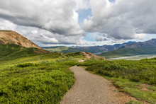 Alaska's Denali National Park Hiking Trail