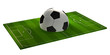 © wetzkaz - soccer ball 3d rendering and soccer field