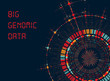 Big Genomic Data Visualization - DNA Test, Barcoding,  Genom Map Architecture  - Vector Graphic Template  
