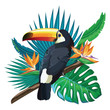 Toucan, exotic birds, tropical flowers, palm leaves, jungle leaves, bird of paradise.