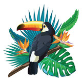 Fototapeta Pokój dzieciecy - Toucan, exotic birds, tropical flowers, palm leaves, jungle leaves, bird of paradise.