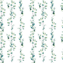 Eucalyptus Seamless Pattern. Watercolor Green Branches With Leaves On White Background. Hand Drawn Natural Wallpaper Design