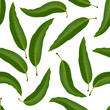 Seamless pattern with mango leaf. Realistic vector illustration plant.