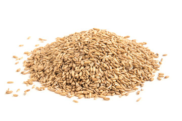 Wall Mural - Oat grain isolated on white background.