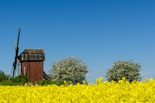Old Wooden Windmill Surrounded Of Beautiful Spring Season Colors