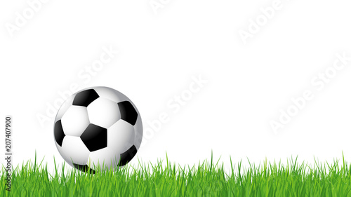 Ballon De Football Sur Gazon Stock Vector Adobe Stock Ballon De Football Sur Gazon Stock Vector Adobe Stock