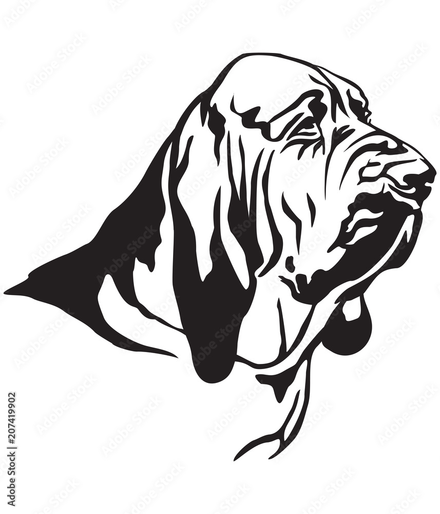 Decorative portrait of Bloodhound vector illustration - obrazy, fototapety, plakaty 