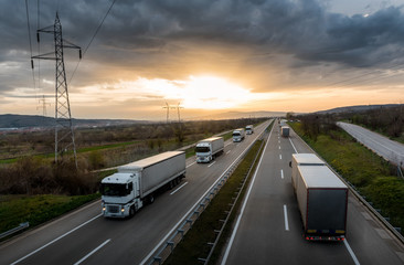 Wall Mural - Caravan or convoy of white trucks in line on a country highway at sunset