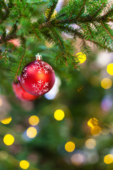 Canvas Print - balls with snowflake on christmas tree twig indoor