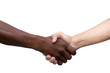 © Worawut - African and American shaking hands isolated on white background with clipping path