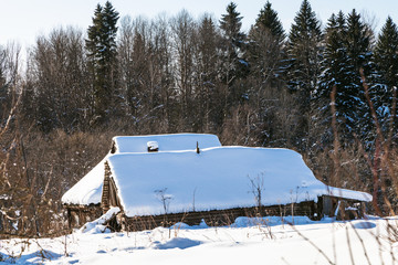 Sticker - abandoned rustic house at the edge of forest