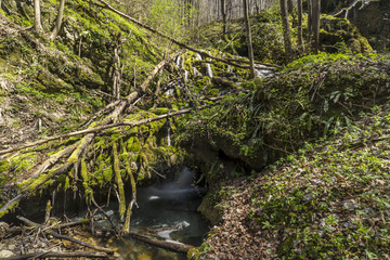 Waterfal with a lot of green moss