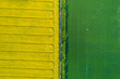 © Wojciech - Field of Rapeseed / aerial view