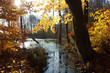 Jesienny krajobraz - nad jeziorem