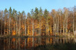 Jesienny krajobraz - las odbity w jeziorze