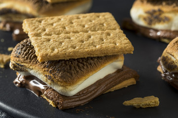 Canvas Print - Homemade Chocolate Smores with Marshmallows