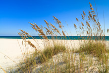 Beautiful Florida Panhandle Beach