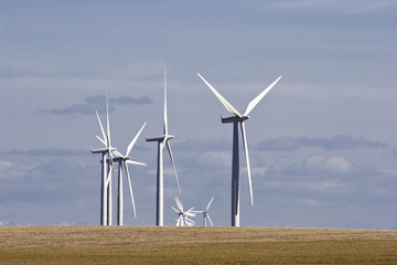 Wind Mill Farm