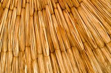 The Texture Is From Dried Beautiful Yellow Straw, Hay, Twigs, Ears Of Corn At An Angle Illuminated By The Sun. The Background.