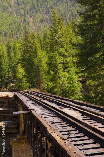 Cuadros en Lienzo Railroad tracks through mountain countryside and pine tree with vintage retro effect
