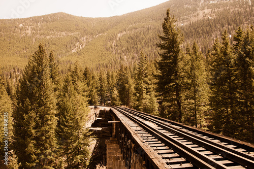 Cuadros en Lienzo Railroad tracks through mountain countryside and pine tree with vintage retro effect