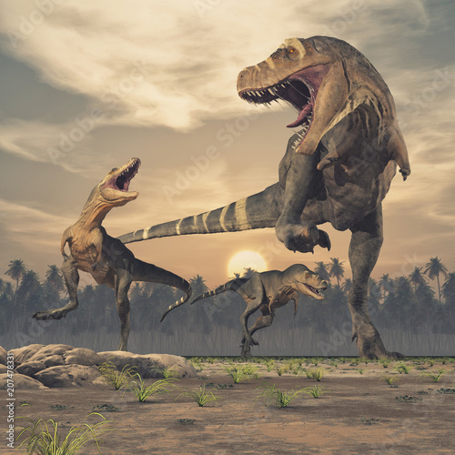 Dekoracja na wymiar  trzy-dinozaury-tyrannosaurus-rex