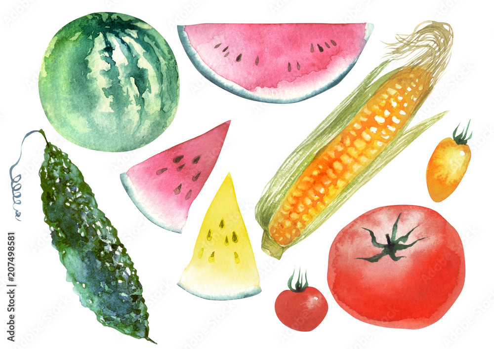 夏 野菜 果物 水彩 イラスト Stock Illustration | Adobe Stock