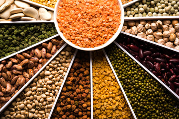 Indian Beans,Pulses,Lentils,Rice and Wheat grain in a white Sunburst or sun rays shape designer container , selective focus.