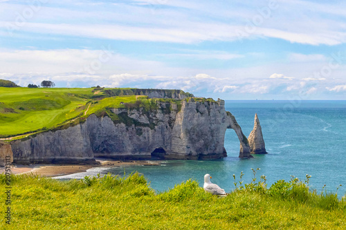 Fotomural Etretat - Normandie - Felsen mit Möve
