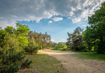 Typical Dutch landscape of 't Lutterzand, a forest area near the German border and a geological monument. It is characterised by the river The Dinkel that passes through and visited by many tourists.