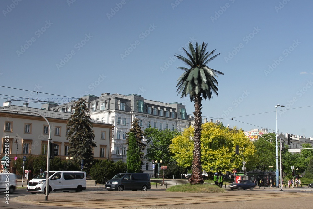 Warsaw Palm Tree