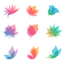 Pastel Colored Elements Of Nature Like Flower, Leaf And Butterfly. Vector Set For Fresh Design