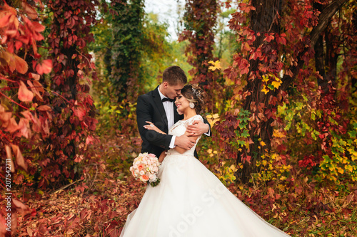 Elegant Wedding Couple Gently Hugging In Autumn Forest Luxury Bride And Groom Embracing Romantic Sensual Moment Stock Photo Adobe Stock Elegant Wedding Couple Gently Hugging In Autumn Forest Luxury Bride And Groom Embracing Romantic Sensual Moment Stock Photo Adobe Stock