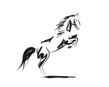 Fototapeta Konie - Vector ink sketch of a horse