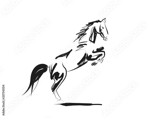 Photographie Vector ink sketch of a horse