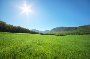 Wall Mural - Green meadow in mountain.