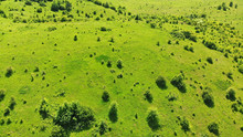 Aerial View Of A Green Meadow With Trees. Ecology And Environment Concept.