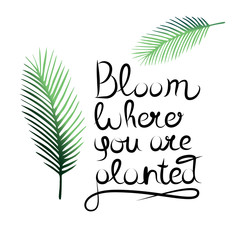 Typography motivational quote - Bloom where you are planted. Hand drawn lettering.