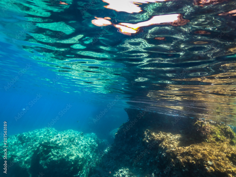 My Under Water World