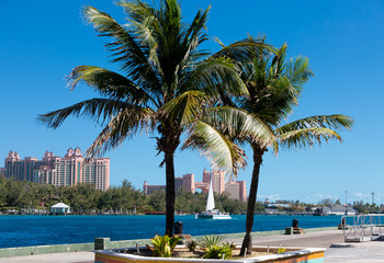 Canvas Print - Resort Through Palm Trees