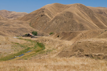 Wall Mural - Brown hills