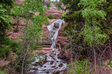 Canvas Print - hays creek falls 