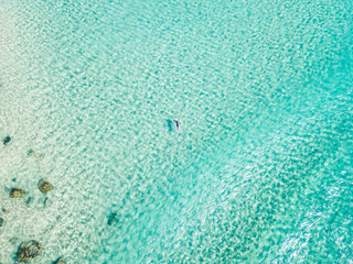 Canvas Print - An aerial view of a surfer paddling in blue water on Queensland's Gold Coast in Australia