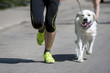 © Augustas Cetkauskas - Unrecognizable runner and a dog at the city race