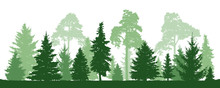 Trees Pine, Fir, Spruce, Christmas Tree. Coniferous Forest, Vector Silhouette
