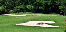 Golf Course Sand Traps Backdrop