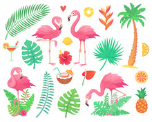 Pink Flamingo And Tropical Plants. Beach Palm, African Plant Leafs, Rainforest Flower, Tropic Palms Leaf And Rosy Flamingos Vector Set