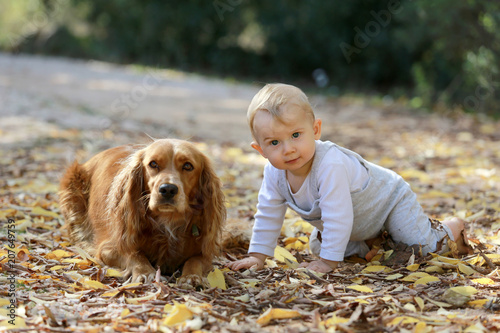 Láminas Complicité entre le petit bébé garçon et son chien.