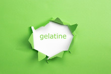 Schrift "gelatine" Grün